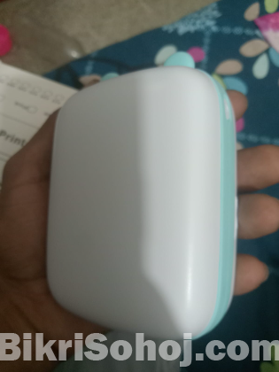 Mini panda printer